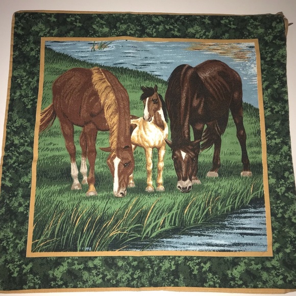💚Set Of 2 Reversible Vintage Horse Pillow Cases💚 - Picture 2 of 7